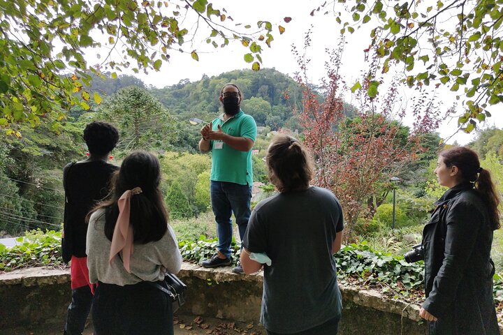 Private Tour to Sintra from Lisbon - Palaces, Gardens & Coast