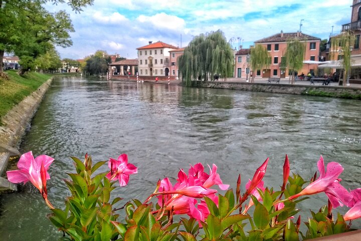 Tour to the Venetian Villas and the Brenta Riviera from Padua