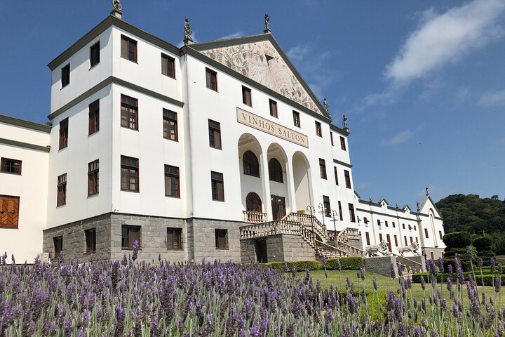 Private Tour of the Largest Wineries in Bento Gonçalves RS