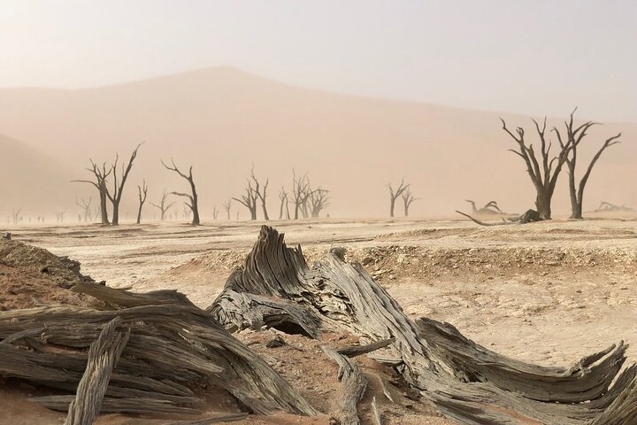 3-Day Namibia Desert Camping Tour from Windhoek