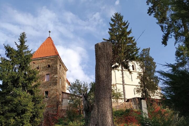 Sighisoara and Viscri UNESCO Guided Day Tour From Brasov