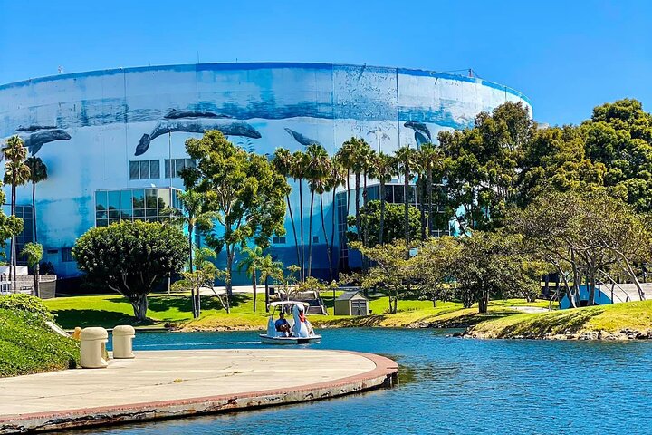 Swan Boat Rental at Rainbow Lagoon in Long Beach
