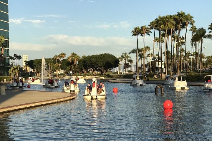 Swan Boat Rental at Rainbow Lagoon in Long Beach
