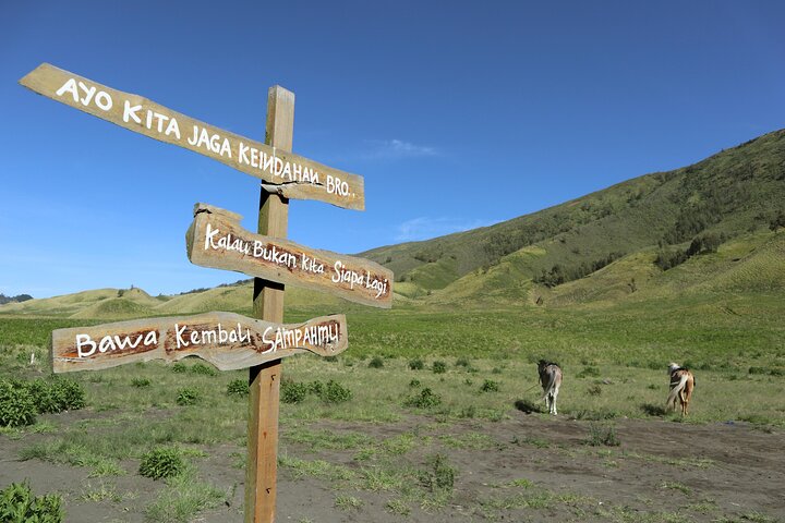 1 Day - Bromo Afternoon Siesta Tour start MALANG or SURABAYA // 11:00 - 18:00
