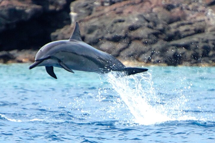 Big Island: Captain Cook Snorkel On A Power Catamaran With Lunch