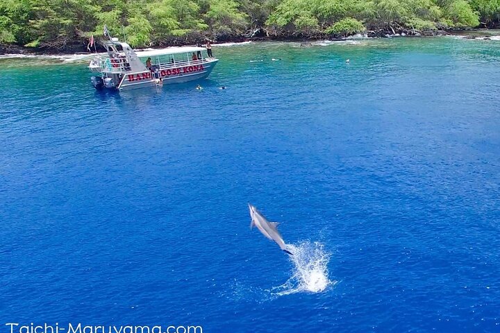Big Island: Captain Cook Snorkel On A Power Catamaran With Lunch