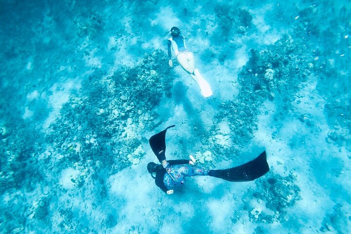 Big Island: Captain Cook Snorkel On A Power Catamaran With Lunch