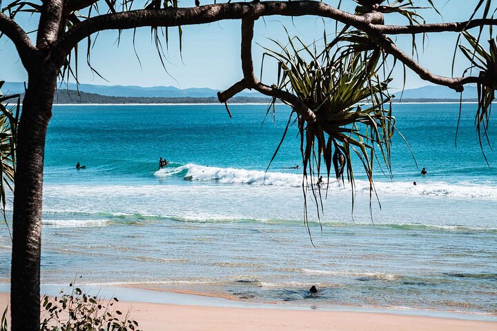 Sunshine Coast Hinterland and Noosa Day Trip from Brisbane Incl Eumundi Markets