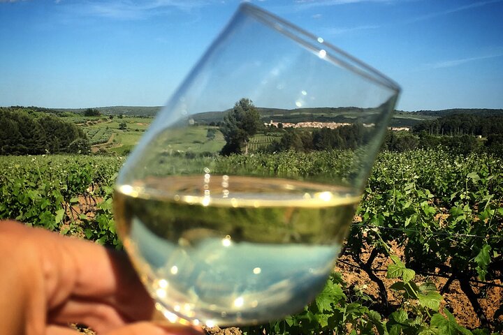 Private Half-Day Languedoc Wine Tour from Sète