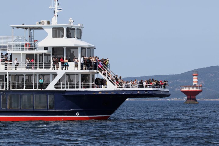 Tadoussac/Charlevoix: Whale Watching Tour
