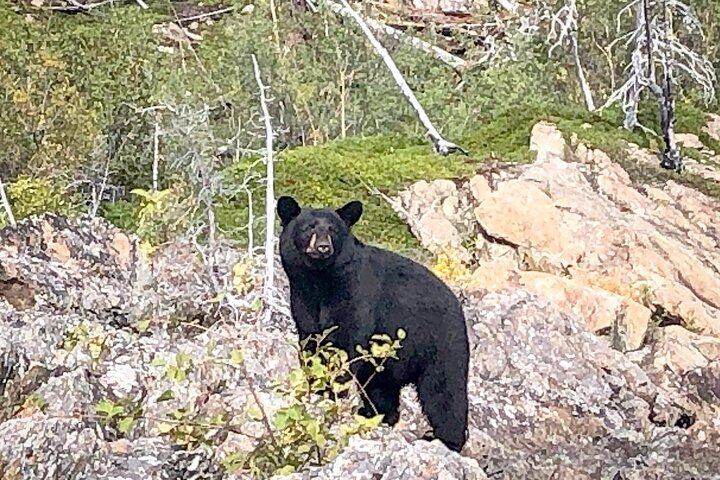Full Day Canyon fishing trip