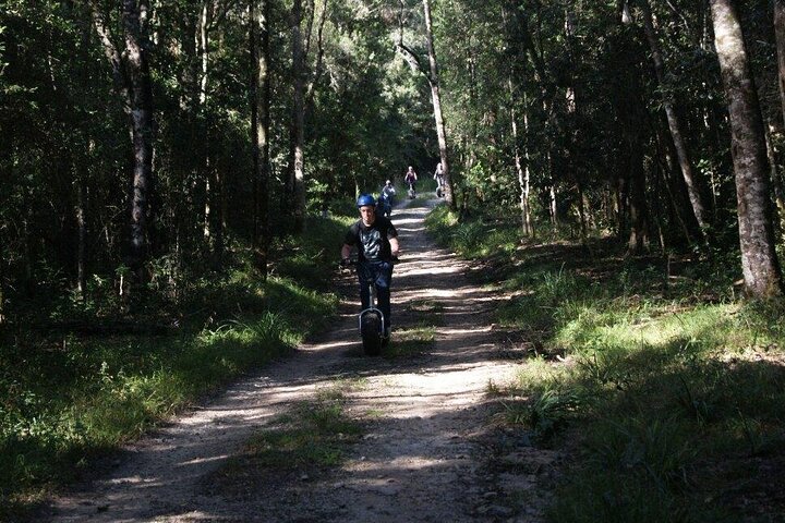 Knysna Scootour