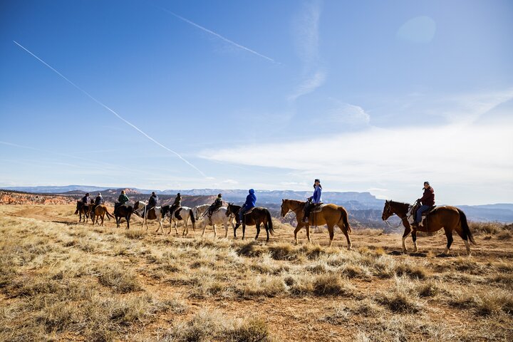 Ruby's Horseback Adventures Utah 1.5 Hour Ride