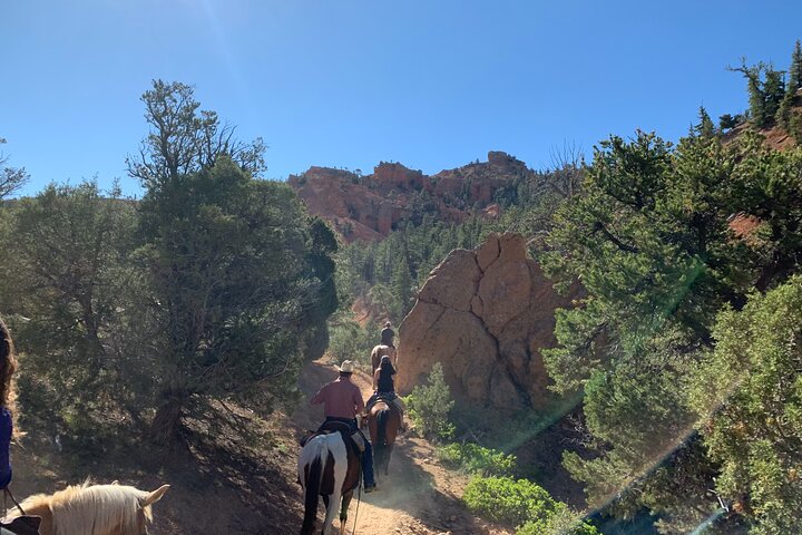 Ruby's Horseback Adventures Utah Half Day Ride