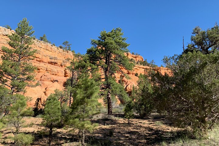 Ruby's Horseback Adventures Utah Half Day Ride