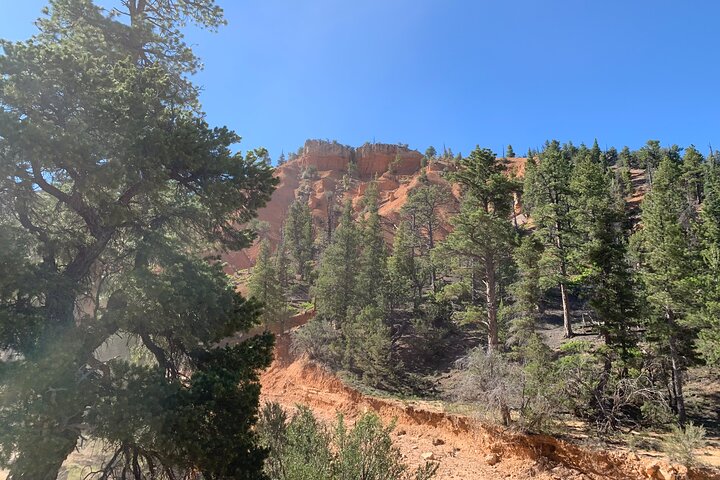 Ruby's Horseback Adventures Utah Half Day Ride