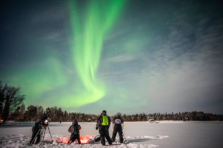 Rovaniemi Northern Lights Photography Small-Group Tour