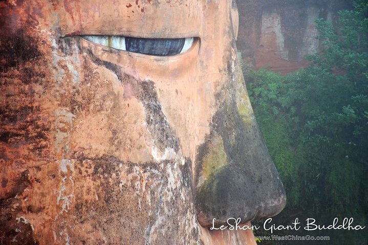 All Inclusive Private Trip to Chengdu Giant Panda Base and Leshan Giant Buddha