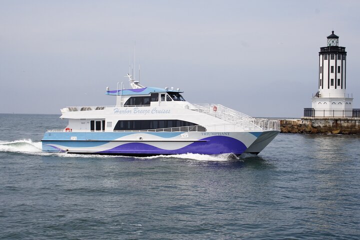 Guided Whale Watching Tour from Long Beach