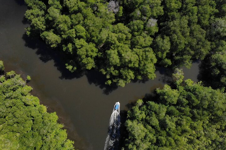 6-Day Osa Jungle Adventure Tour in Osa, Drake and Corcovado