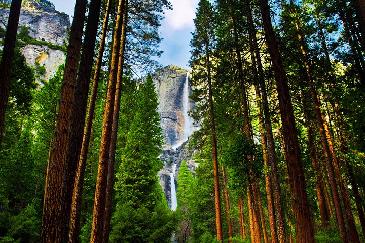 Yosemite Valley Private Hiking Tour