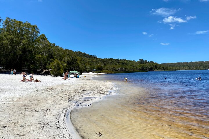 North Stradbroke Island WILDLIFE Adventure Tour from Brisbane