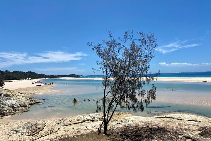 North Stradbroke Island WILDLIFE Adventure Tour from Brisbane