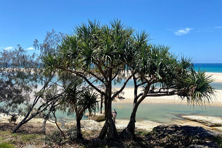 North Stradbroke Island WILDLIFE Adventure Tour from Brisbane