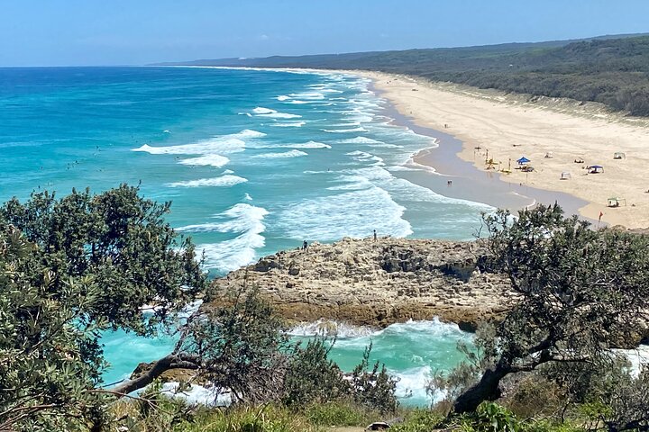 North Stradbroke Island WILDLIFE Adventure Tour from Brisbane