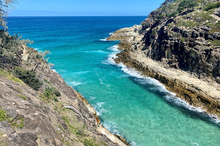 North Stradbroke Island WILDLIFE Adventure Tour from Brisbane