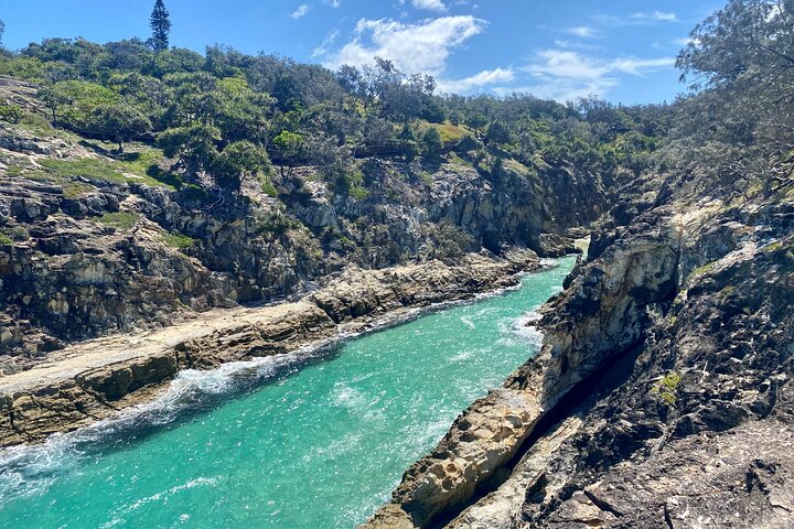 North Stradbroke Island WILDLIFE Adventure Tour from Brisbane