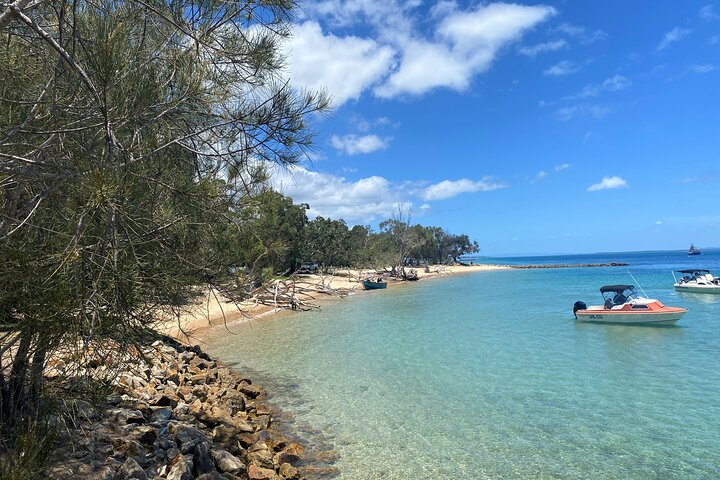 North Stradbroke Island WILDLIFE Adventure Tour from Brisbane