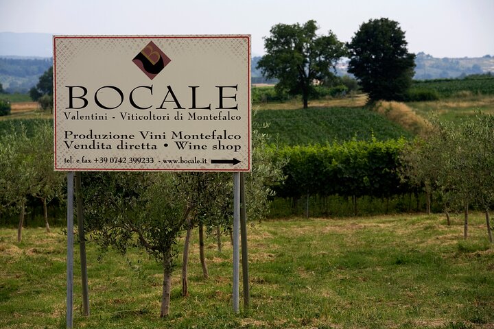 Winery Tour and Private Tasting in Montefalco