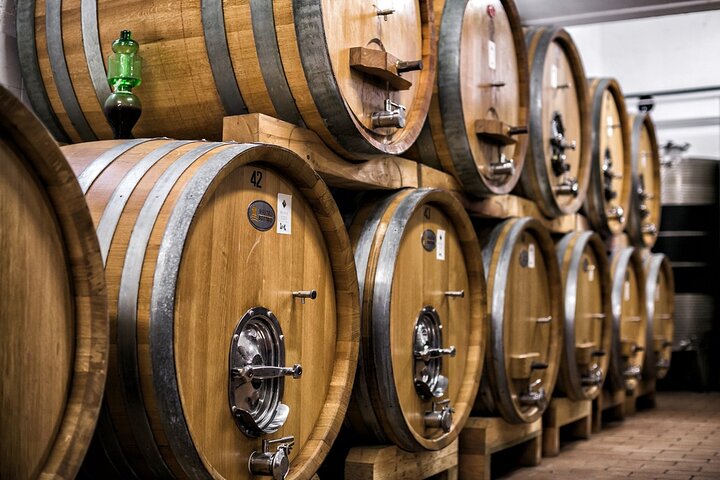 Winery Tour and Private Tasting in Montefalco