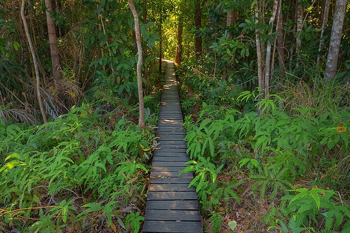 Litchfield Park Adventures + Berry Springs Tour small group