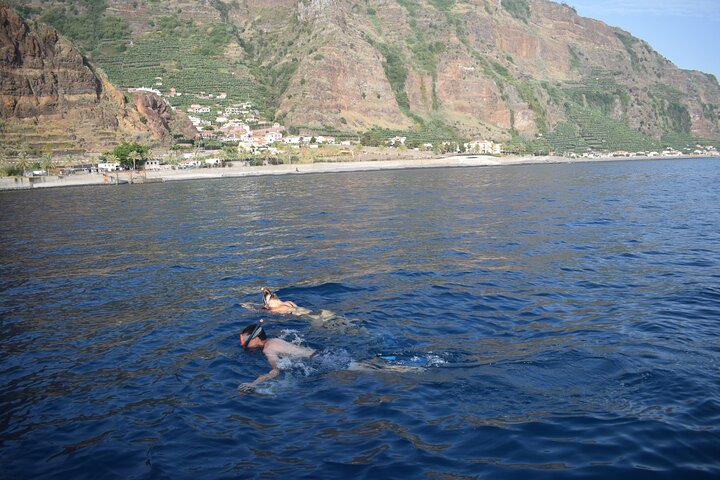 Whale and Dolphin Watching Tour in Madeira
