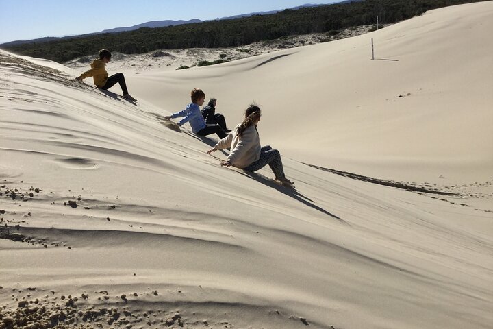 Port Stephens, Beach and Sand Dune 4WD Tag-Along Tour