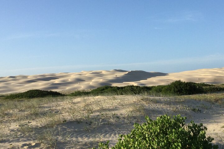Port Stephens, Beach and Sand Dune 4WD Tag-Along Tour
