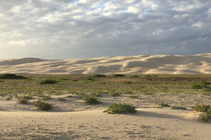 Port Stephens, Beach and Sand Dune 4WD Passenger Tour