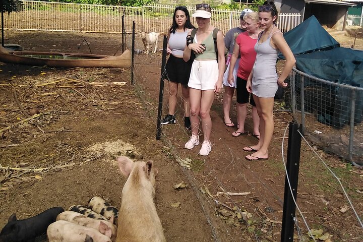 Litchfield Park Adventures + Berry Springs Tour small group