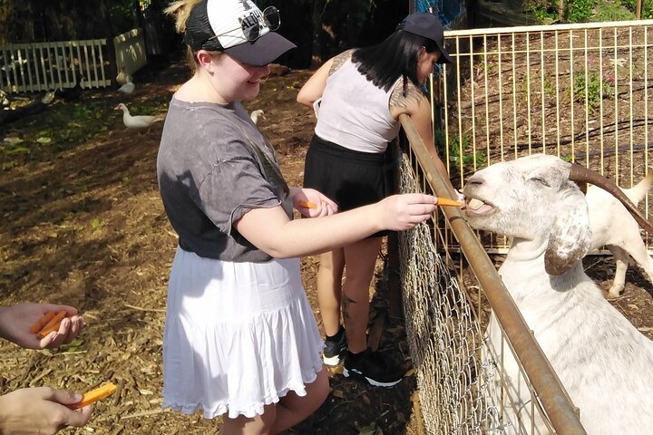 Litchfield Park Adventures + Berry Springs Tour small group