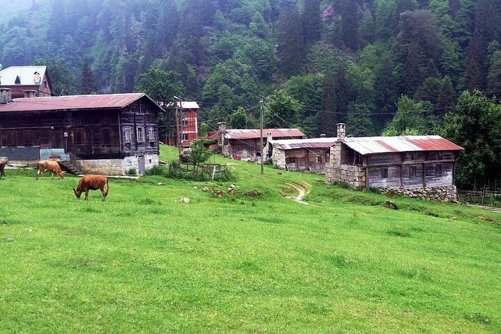 Full-Day Private Tour to Ayder Plateau from Trabzon