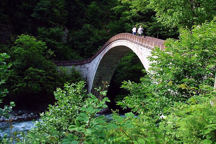 Full-Day Private Tour to Ayder Plateau from Trabzon