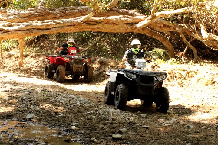 Jungle Single ATV Tour "El Mirador"