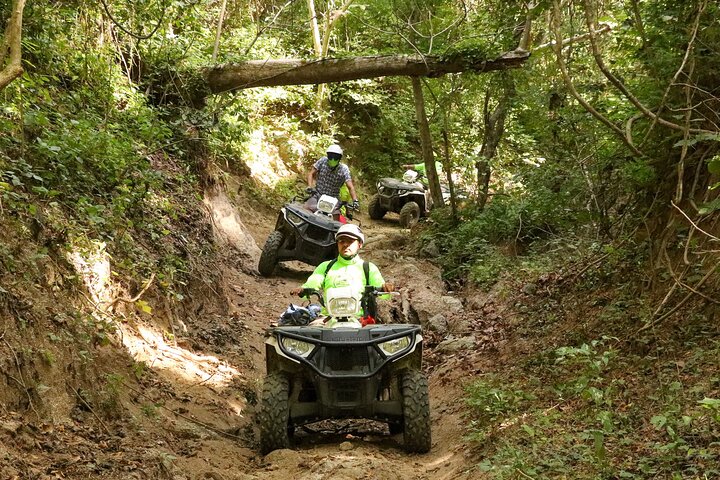 Jungle Single ATV Tour "El Mirador"