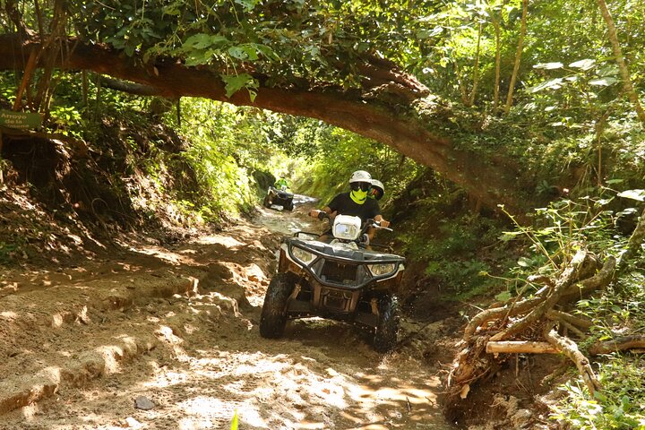 Jungle double ATV Tour "El Mirador" (ride tandem on ATV)