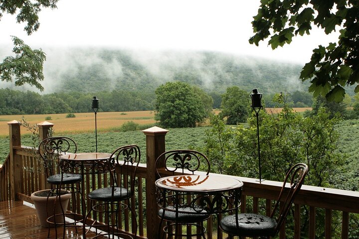 Canandaigua Wine Trail Experience