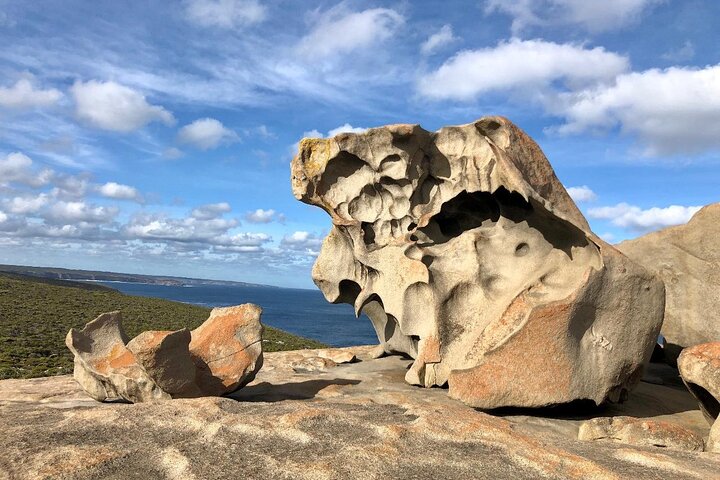 Small Group Kangaroo Island Tour - Best of KI