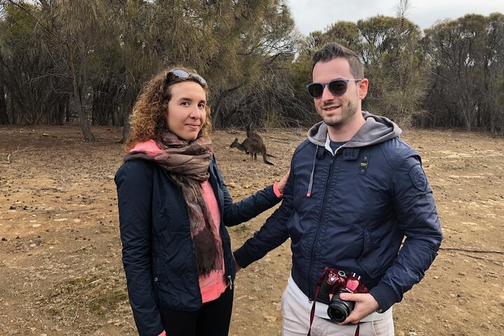 Small Group Kangaroo Island Tour - Best of KI
