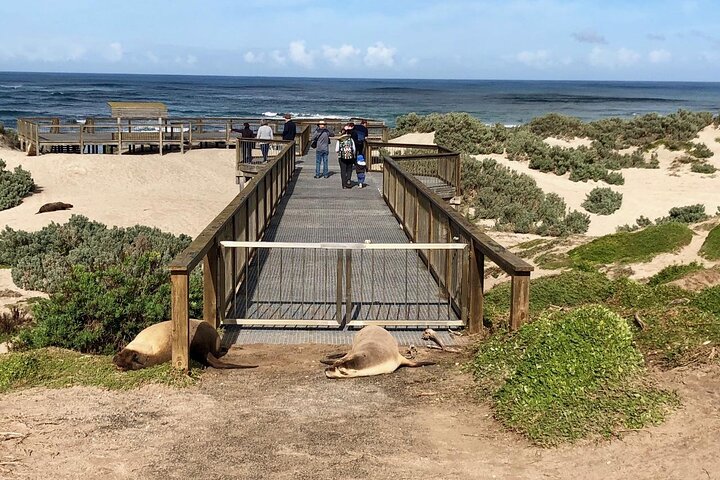 Small Group Kangaroo Island Tour - Best of KI